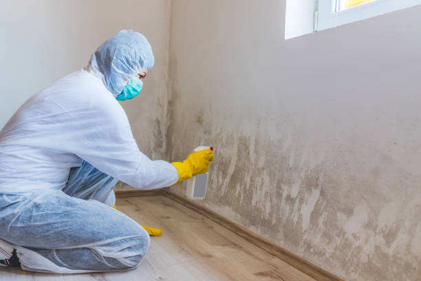 Hvac And Air Duct Mold Remediation inspection of HVAC system in North Miami Beach